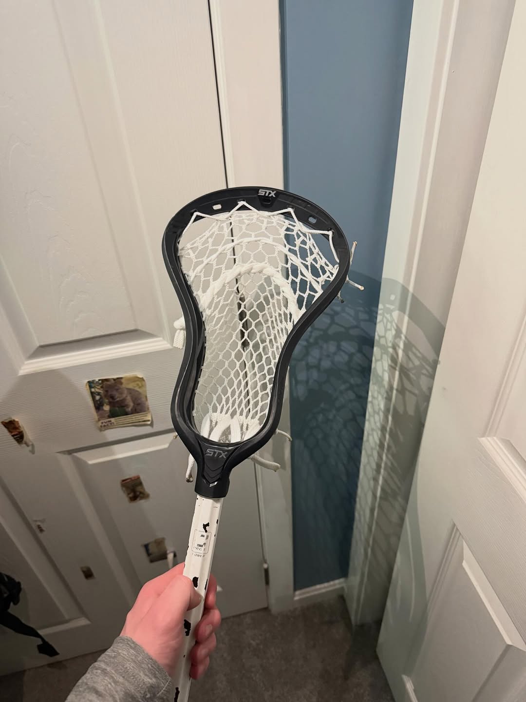 StringsByKorn — Gallery